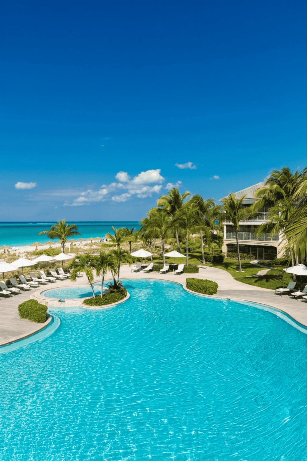 Relaxing poolside at a luxurious beach resort with tropical palm trees and ocean view.