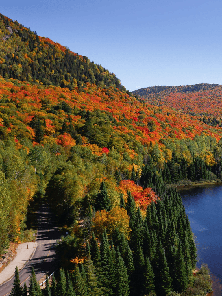 Vibrant autumn foliage in the mountains near a peaceful lake, scenic fall landscape for nature lovers.