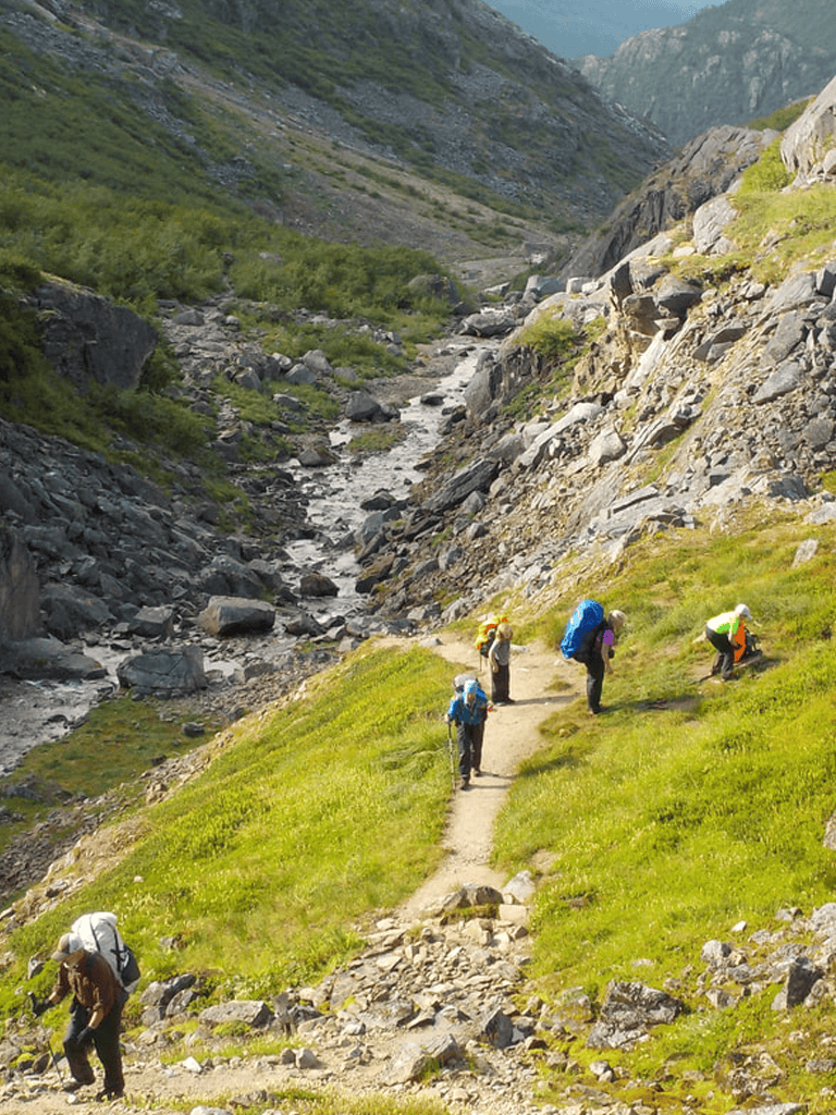 1. Scenic mountain hiking trail with explorers and lush greenery in nature.