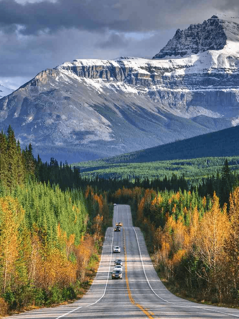 Scenic mountain road through colorful autumn forest with snow-capped peaks in background.