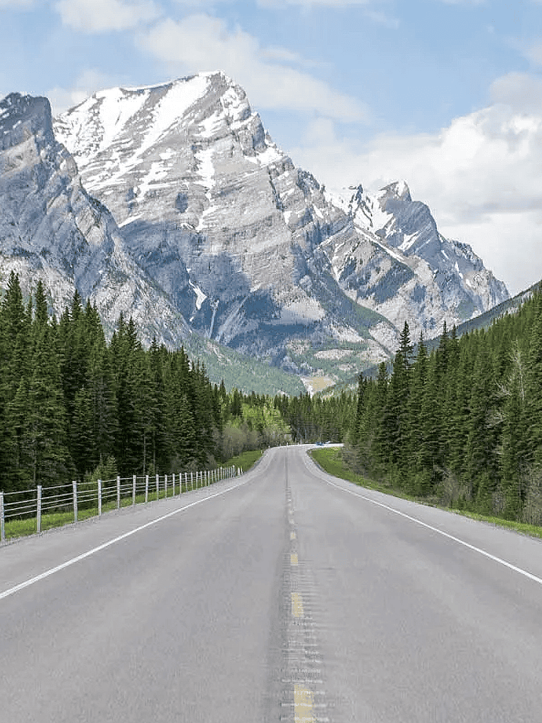 Majestic mountain road through lush pine forest for travel and adventure enthusiasts.