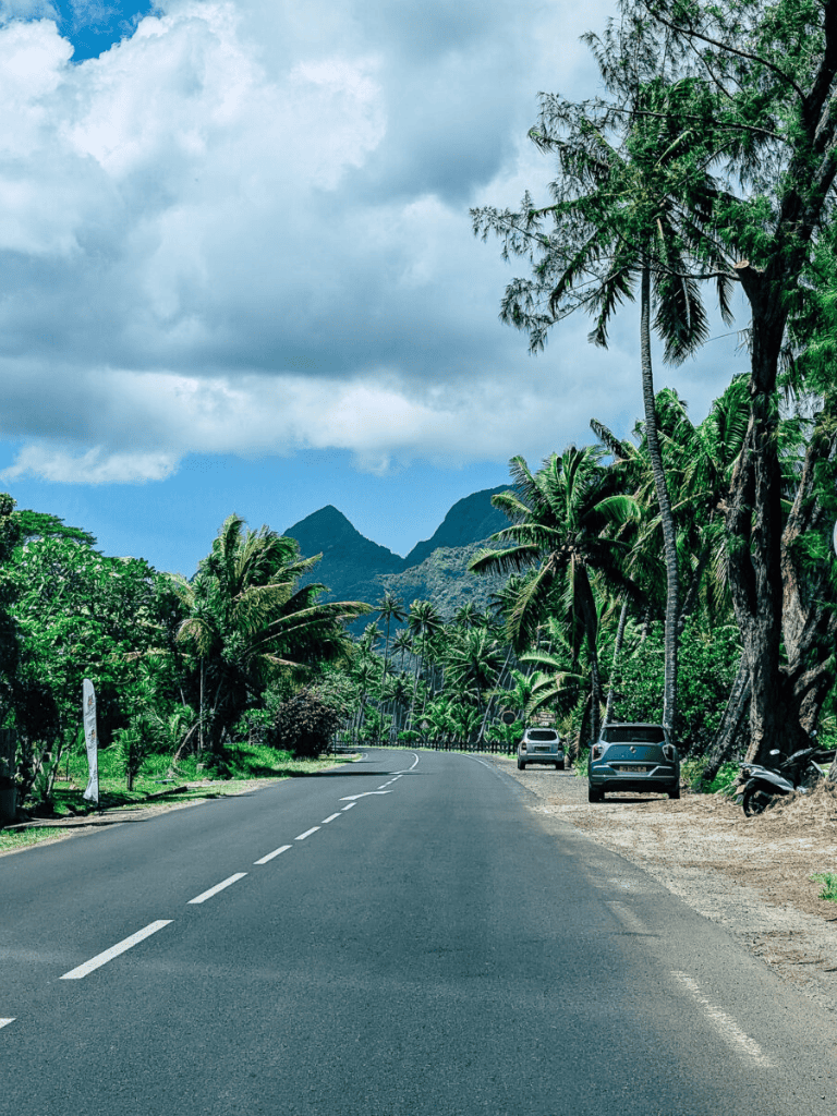 Lush tropical road with palm trees and mountains in the background, scenic driving route.