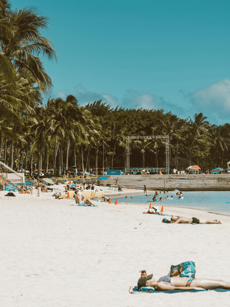 Relaxing beach scene with palm trees, sunbathers, and ocean waves, perfect for travel and vacation planning.