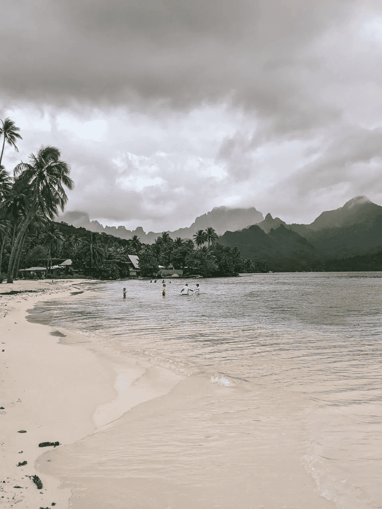 Serene tropical beach with palm trees and lush mountains under cloudy sky, perfect for relaxation and travel.