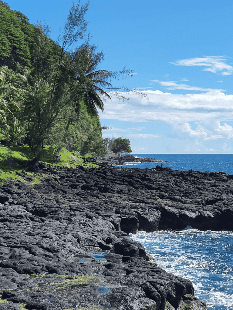 Bright tropical coastline with rocky shore and lush green trees under a clear blue sky.