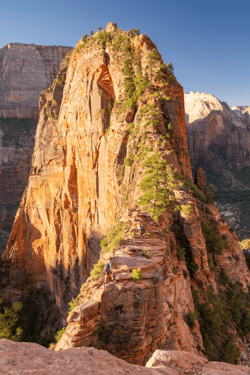 Cliffside hiking trail in Zion National Park with towering sandstone walls and panoramic views.