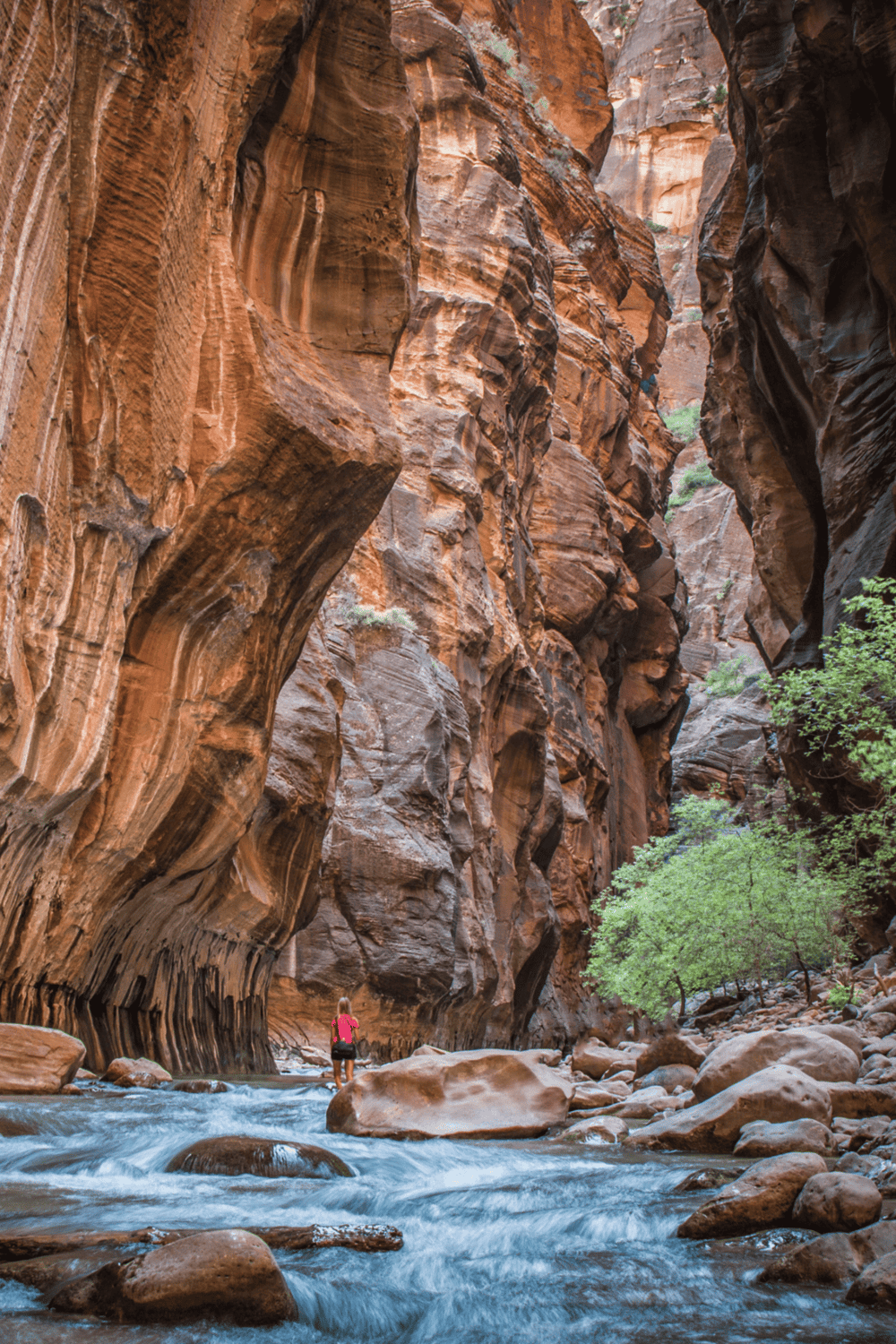 Vivid canyon with towering red rock walls and flowing river, perfect for outdoor adventure and exploration.