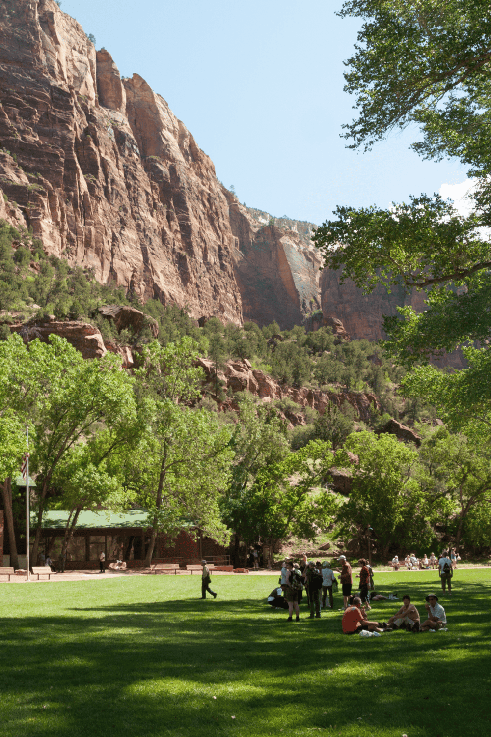 Colorful canyon landscape at Zion National Park, Utah, with lush green trees and visitors enjoying the park.