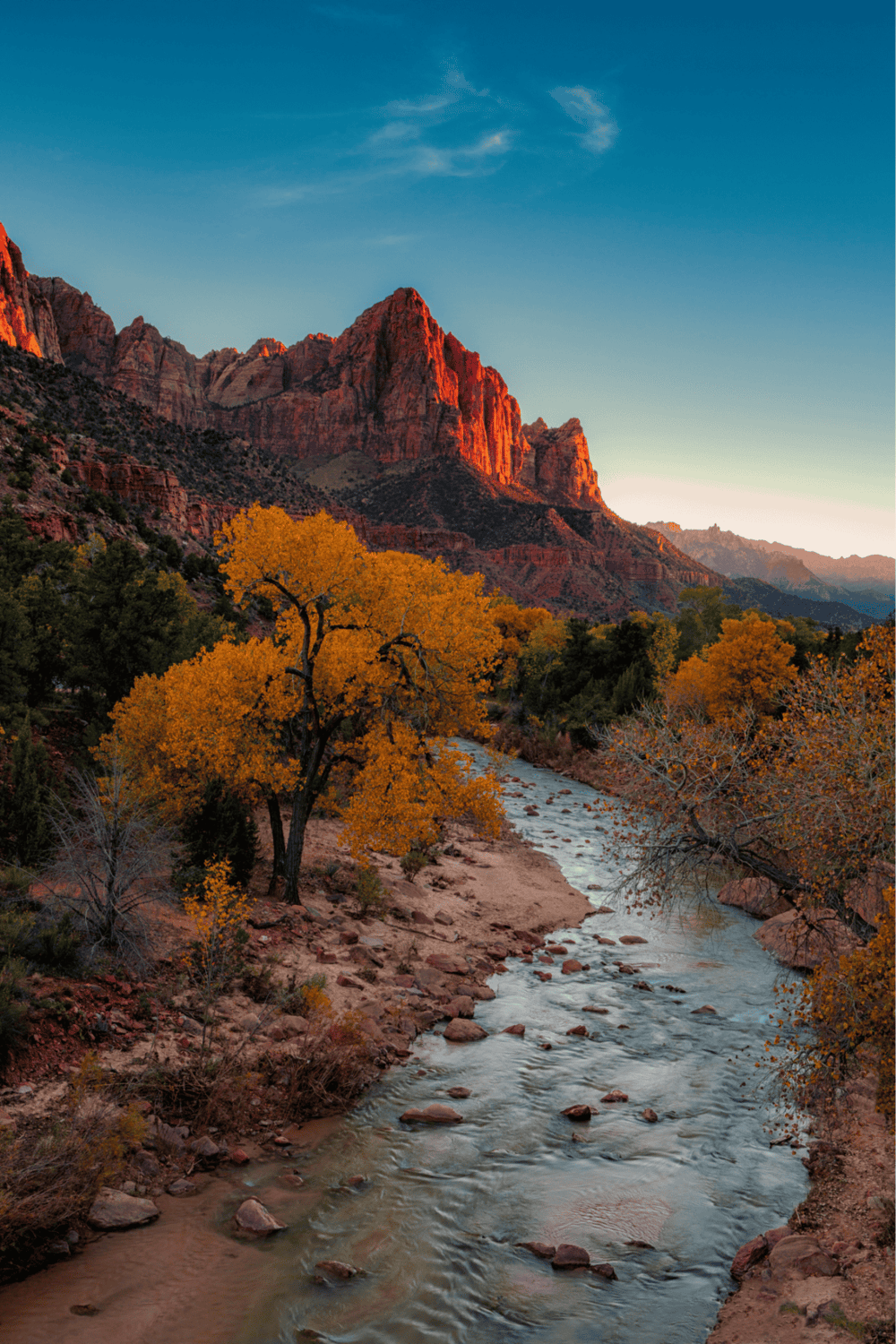 Vibrant autumn landscape at Zion National Park, with red cliffs, golden trees, and winding river, perfect for exploration and adventure.