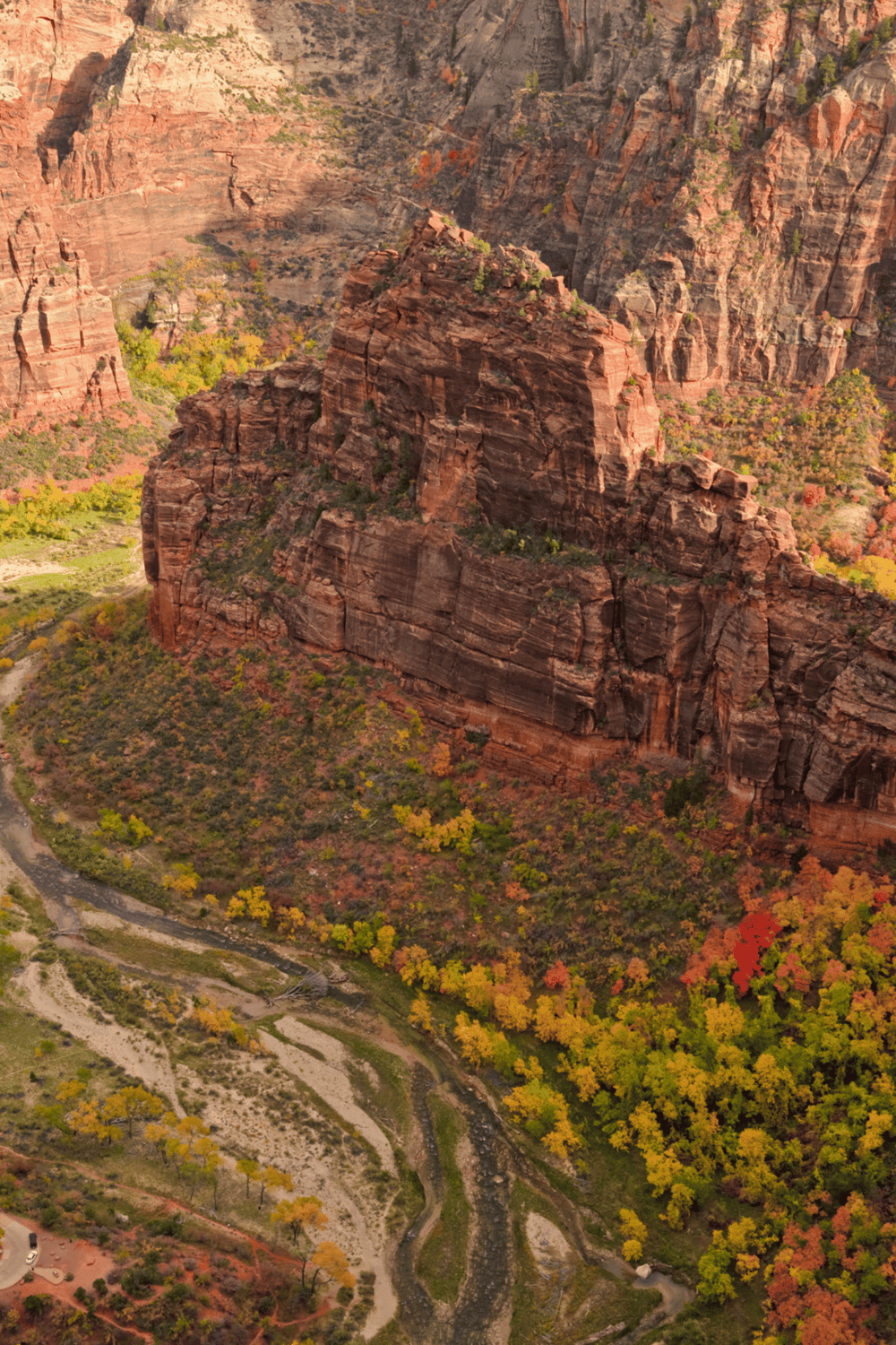 Red rock canyon landscape with colorful autumn trees and river at the base.
