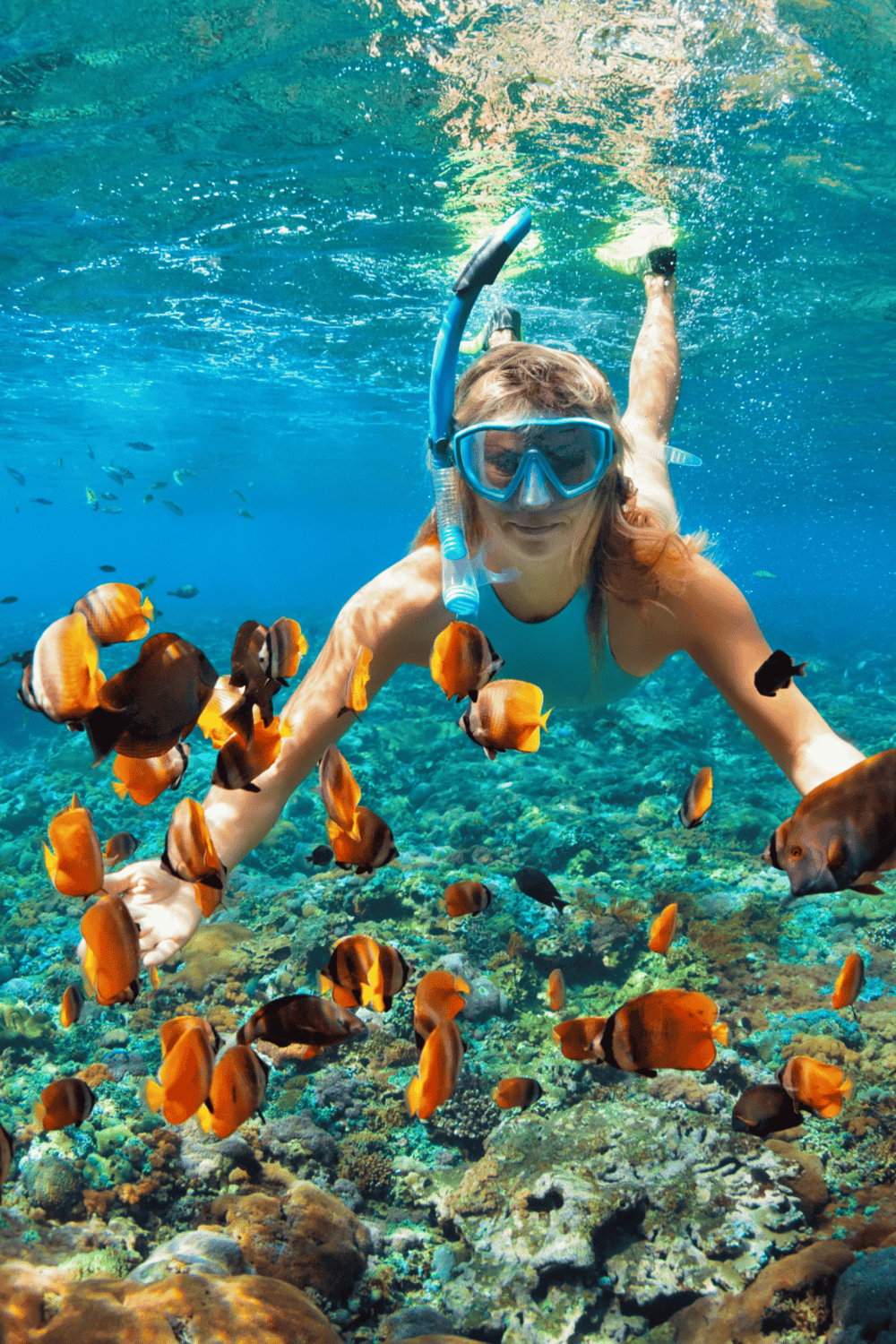 Underwater snorkeling adventure with colorful tropical fish and vibrant coral reefs.