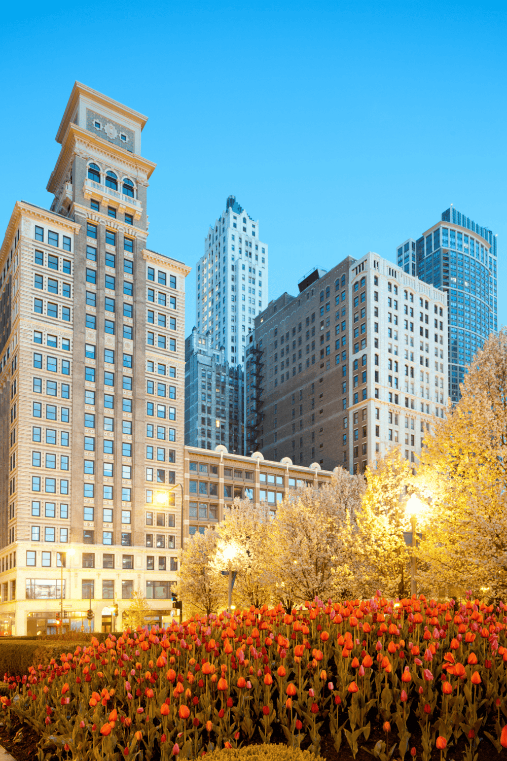 Colorful tulip garden with modern NYC skyscrapers at dusk.