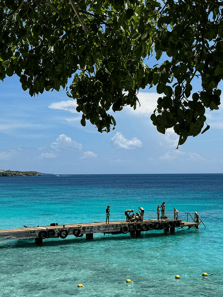 Bright tropical beach with turquoise waters and a wooden dock, ideal for seaside adventures and relaxation.