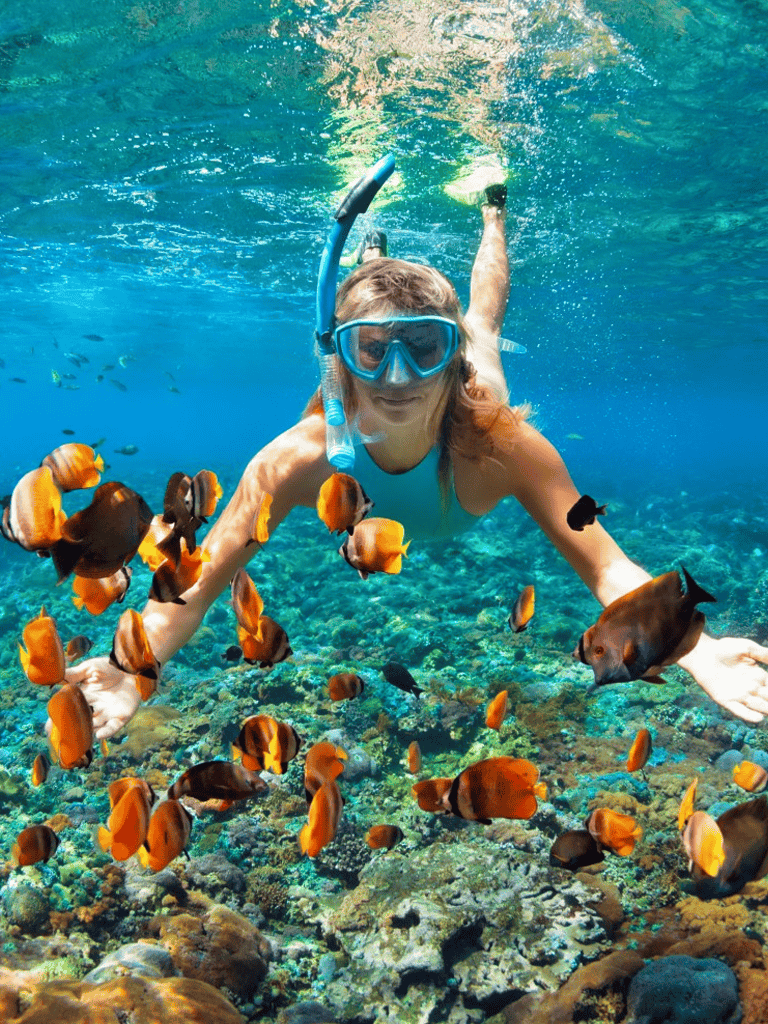 Underwater snorkeling with tropical fish in coral reef ecosystem.