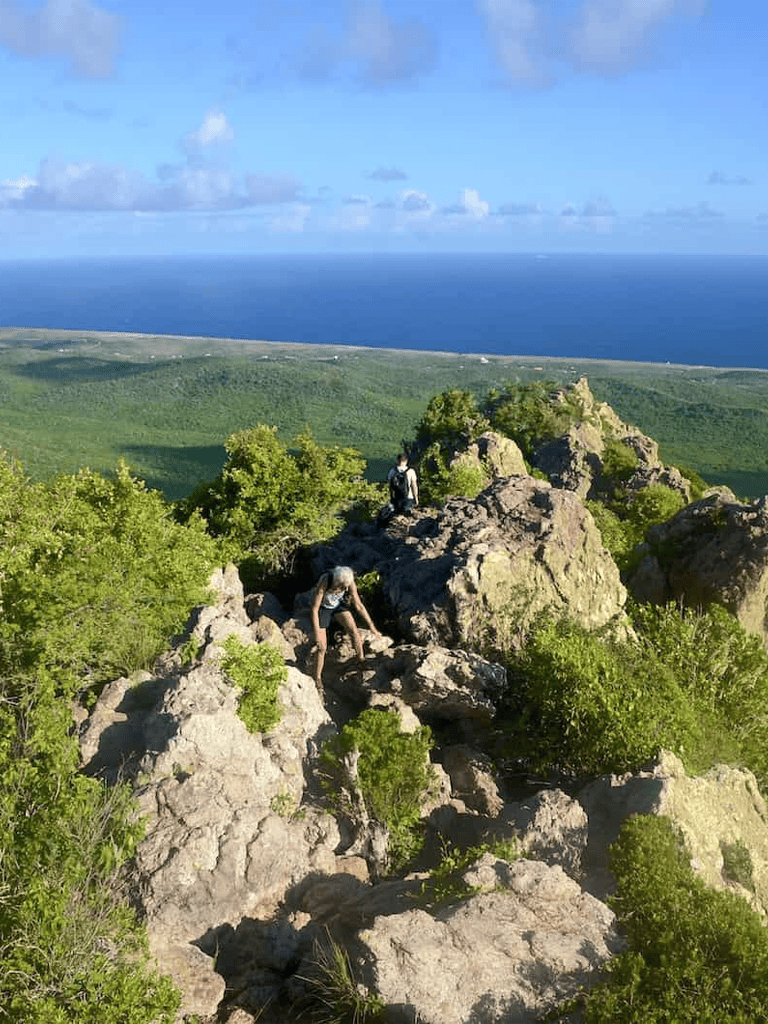 Amazing cliffside hiking trail with ocean views and lush greenery, perfect for adventure seekers.