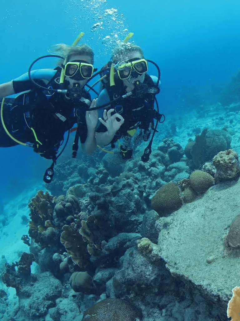 Scuba divers exploring vibrant coral reef underwater scene with marine life and colorful corals.