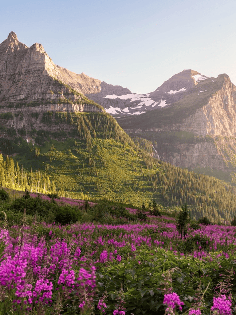 Vast mountain landscape with lush green forests, blooming wildflowers, and snow-capped peaks under clear sky.