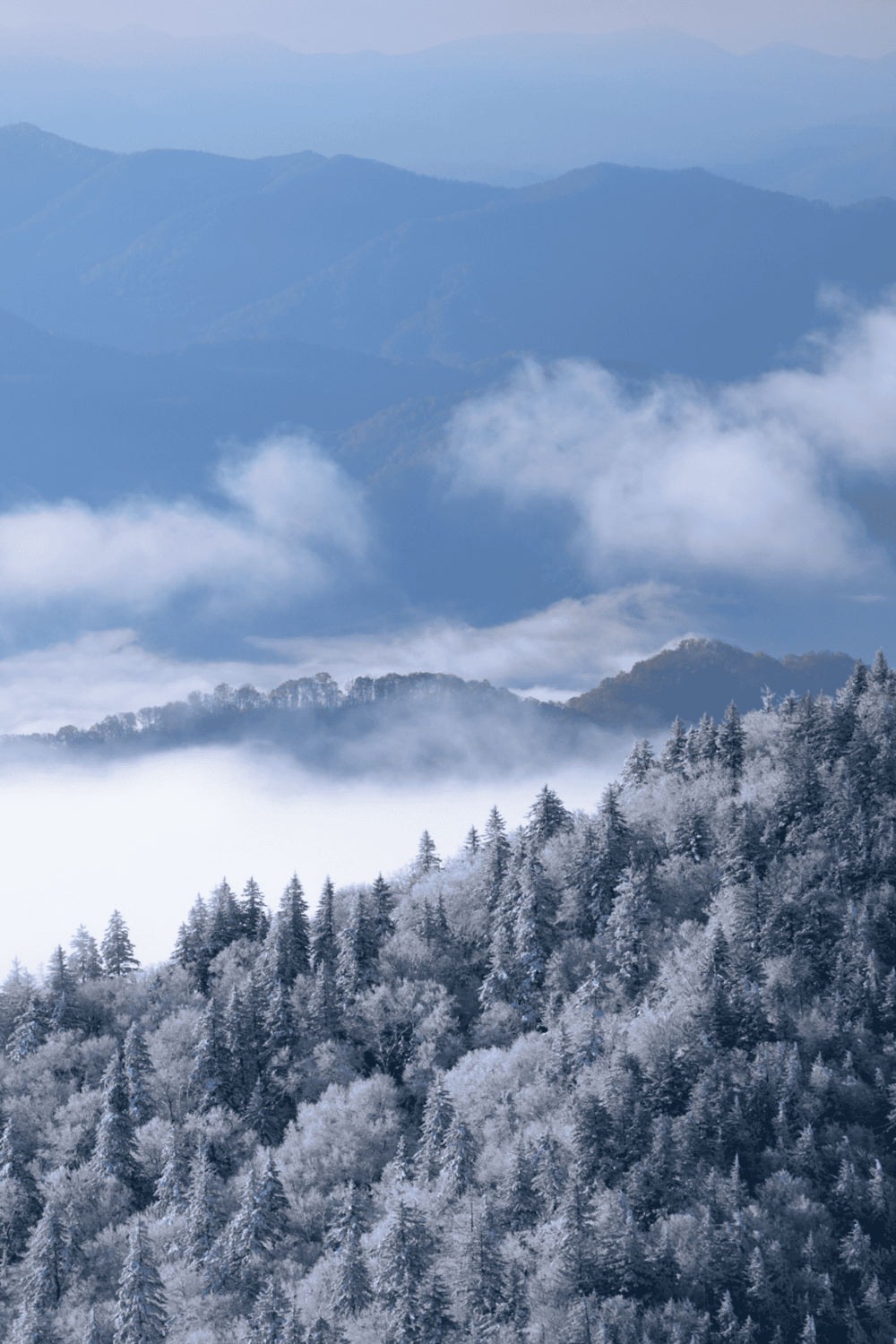 1. Snow-covered mountain landscape with fog and pine trees, scenic winter view.