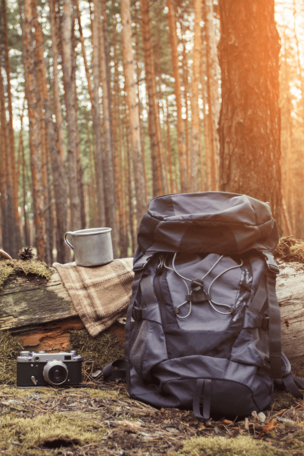 Backpacking gear for outdoor adventure in forest, sunlit trees, and nature travel.