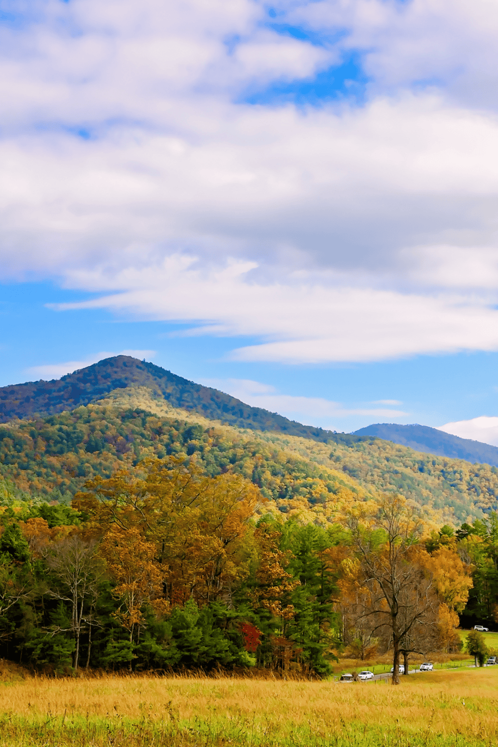 Vivid mountain landscape with fall foliage and a grassy foreground, reflecting scenic outdoor adventure and nature exploration.