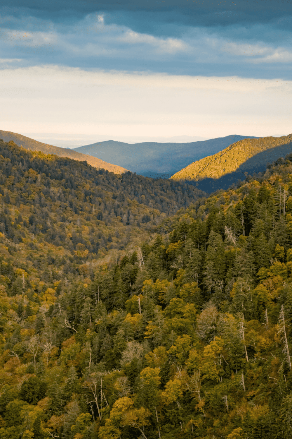 Aerial view of lush green mountains in autumn with vibrant foliage and scenic landscape.