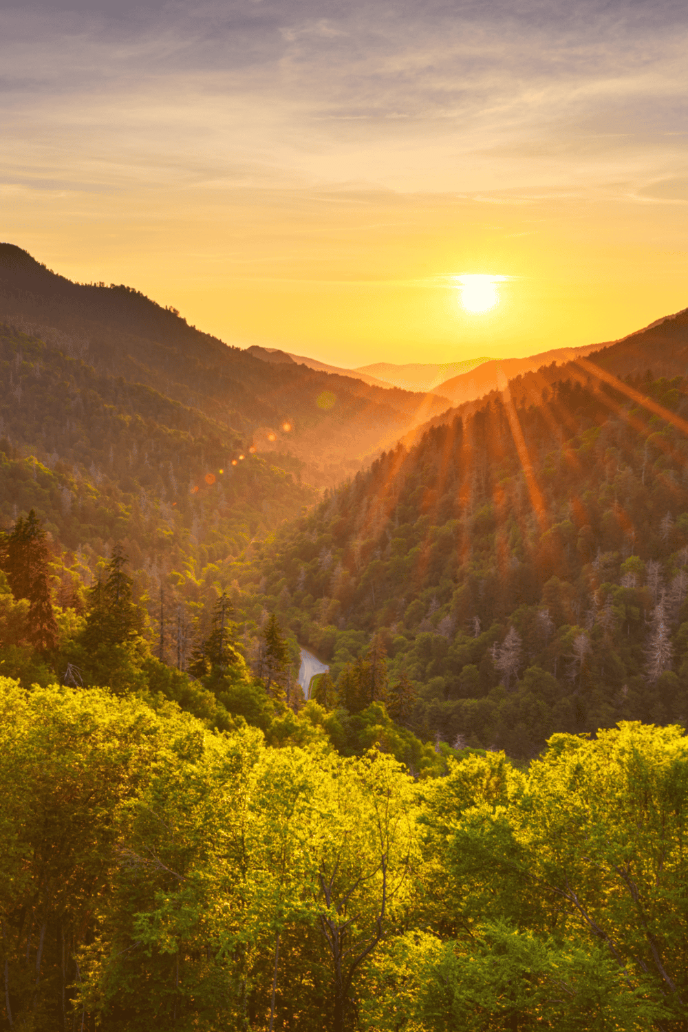 Vast mountain landscape during sunset, lush green forest below, golden sunlight, scenic nature view.