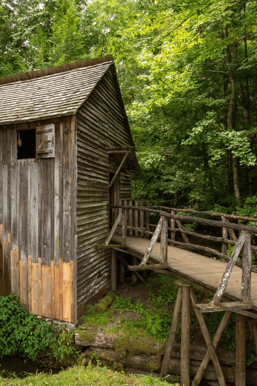 Old wooden cabin in lush green forest, rustic architecture, nature retreat, woodland hideaway.