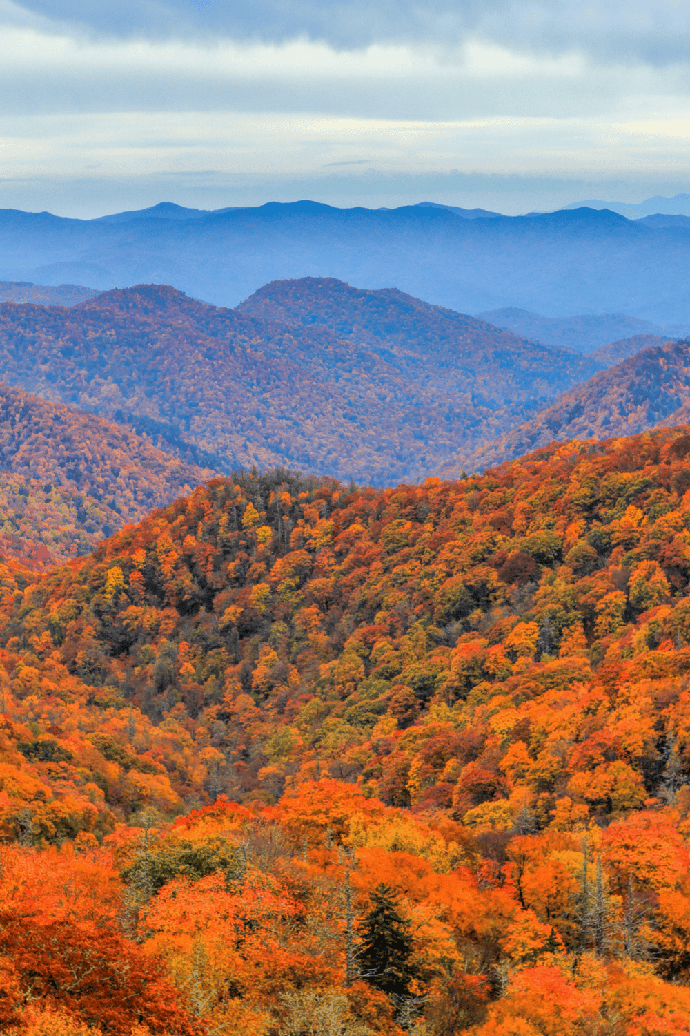 Vibrant autumn forest landscape in the Great Smoky Mountains, colorful fall foliage and scenic mountain views.