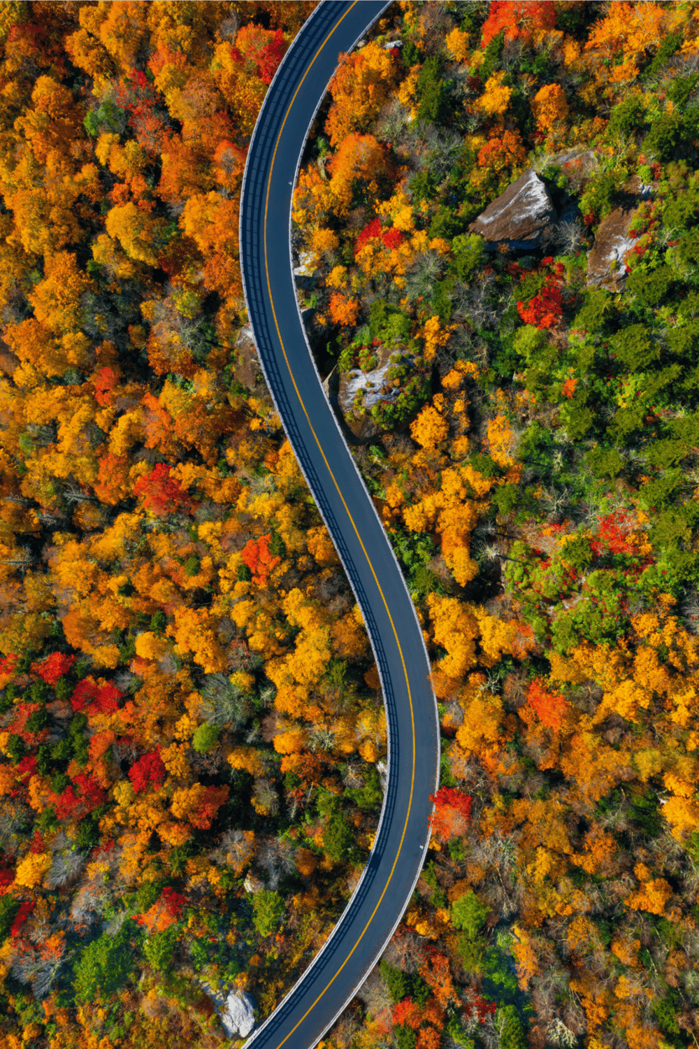 Colorful autumn trees surrounding winding mountain road, scenic fall landscape, QuestForDirections travel inspiration, outdoor adventure.