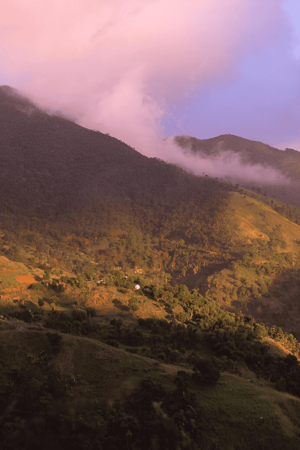 Lush mountain landscape with misty clouds, ideal for exploring nature and outdoor adventures.