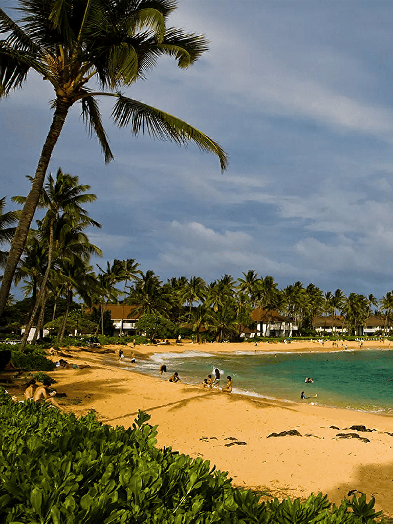 Palm trees on tropical beach with clear blue water and people enjoying seaside relaxation.