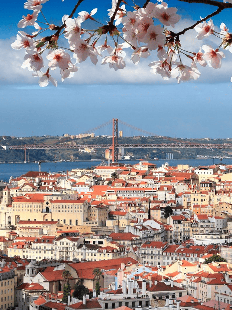 Vibrant cityscape of Lisbon with iconic rooftops and Golden Gate Bridge in the background under blooming cherry blossoms.
