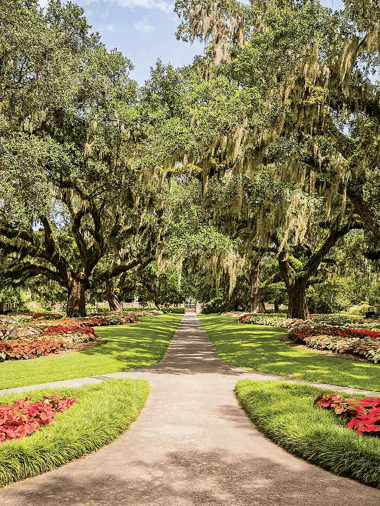 Lush green park pathway lined with Spanish moss trees and colorful flowers, scenic outdoor destination.