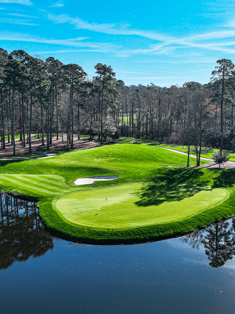 Lush golf course with water hazards and scenic trees, perfect for an outdoor golf adventure.