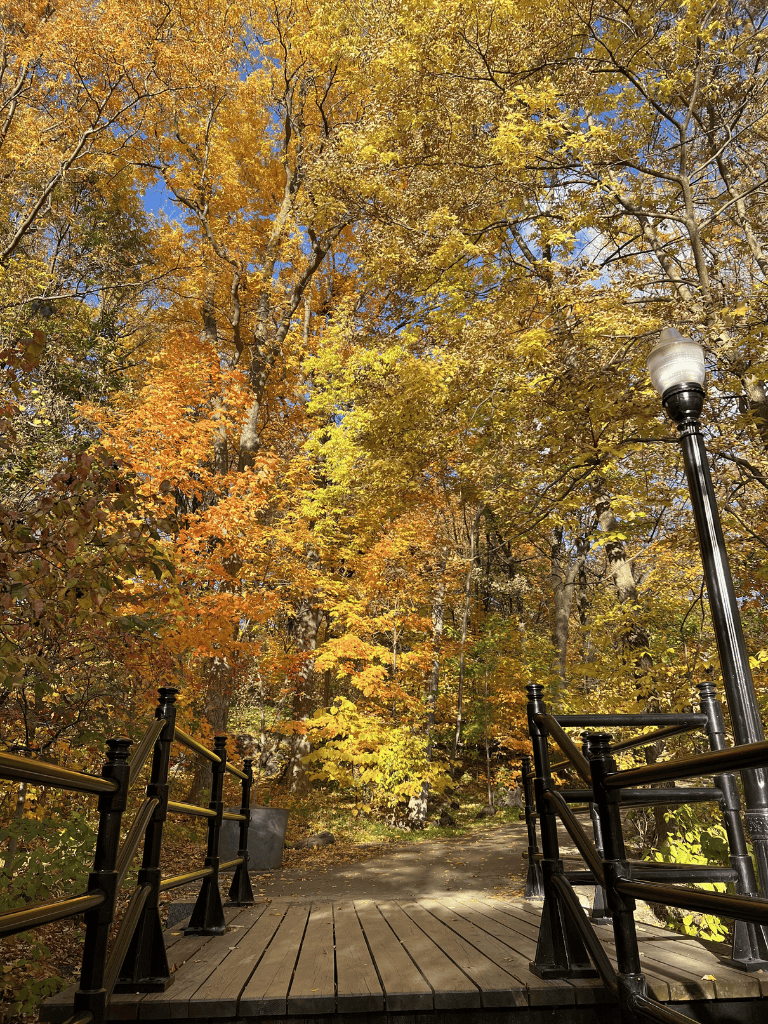 Vibrant autumn trees along wooded park path with bridge and street lamp, scenic fall foliage, perfect for outdoor exploration and nature photography.