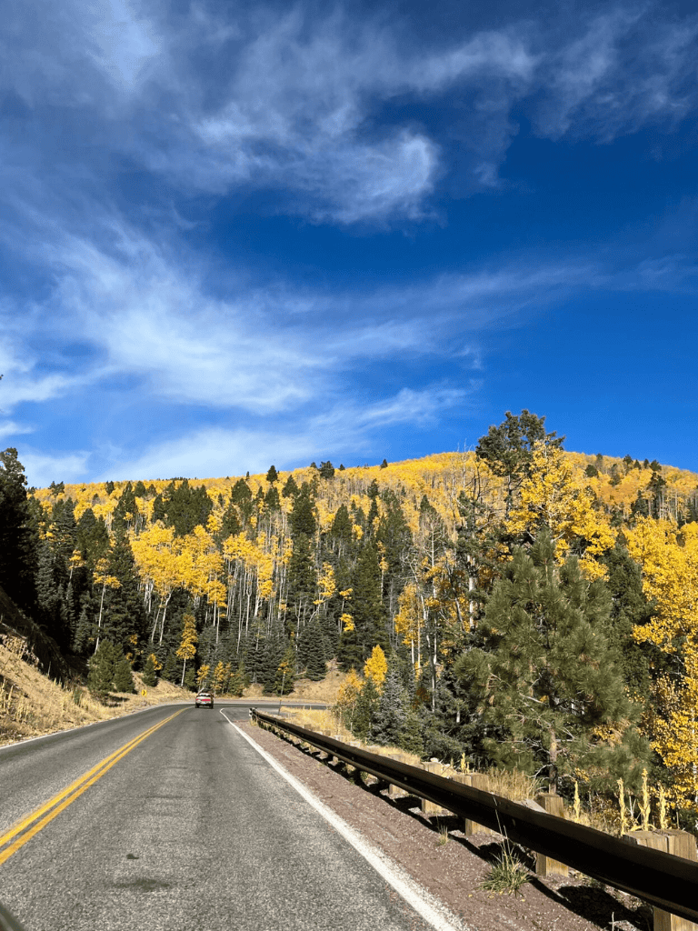 Scenic mountain road with colorful autumn trees and blue sky, perfect for outdoor adventure travel.