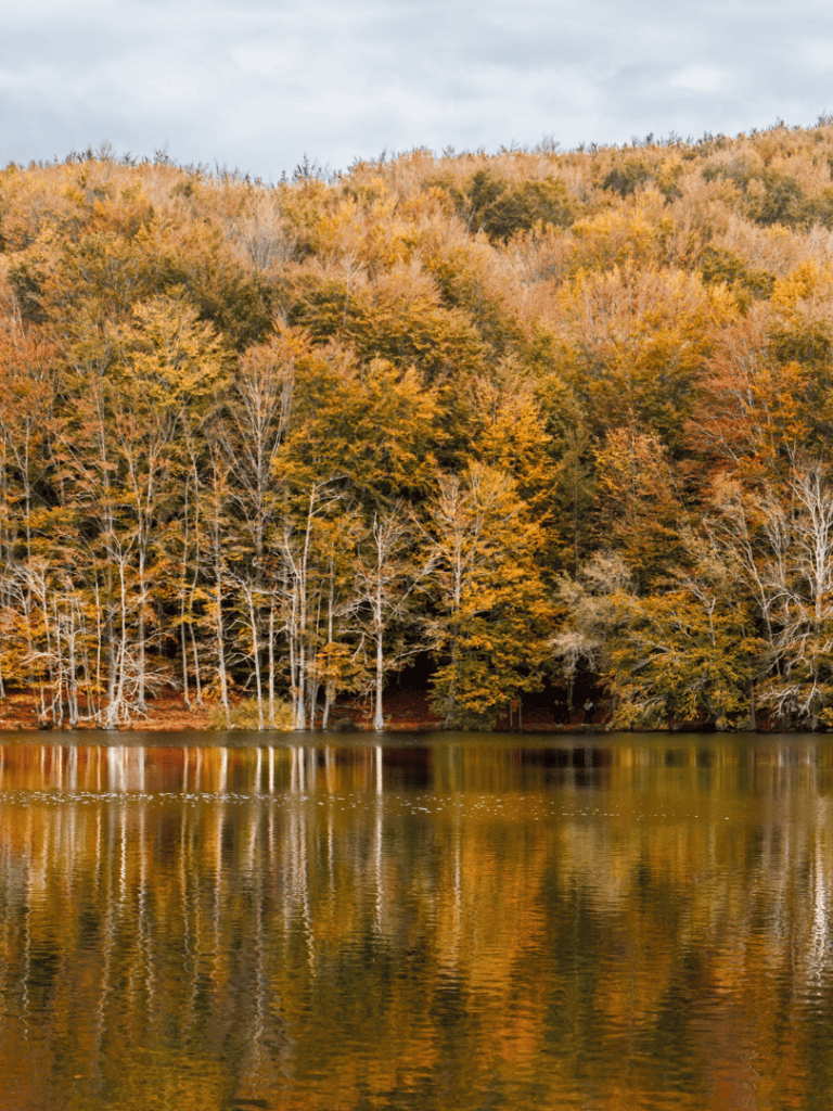 1. Autumn forest and lake reflection in serene nature setting.