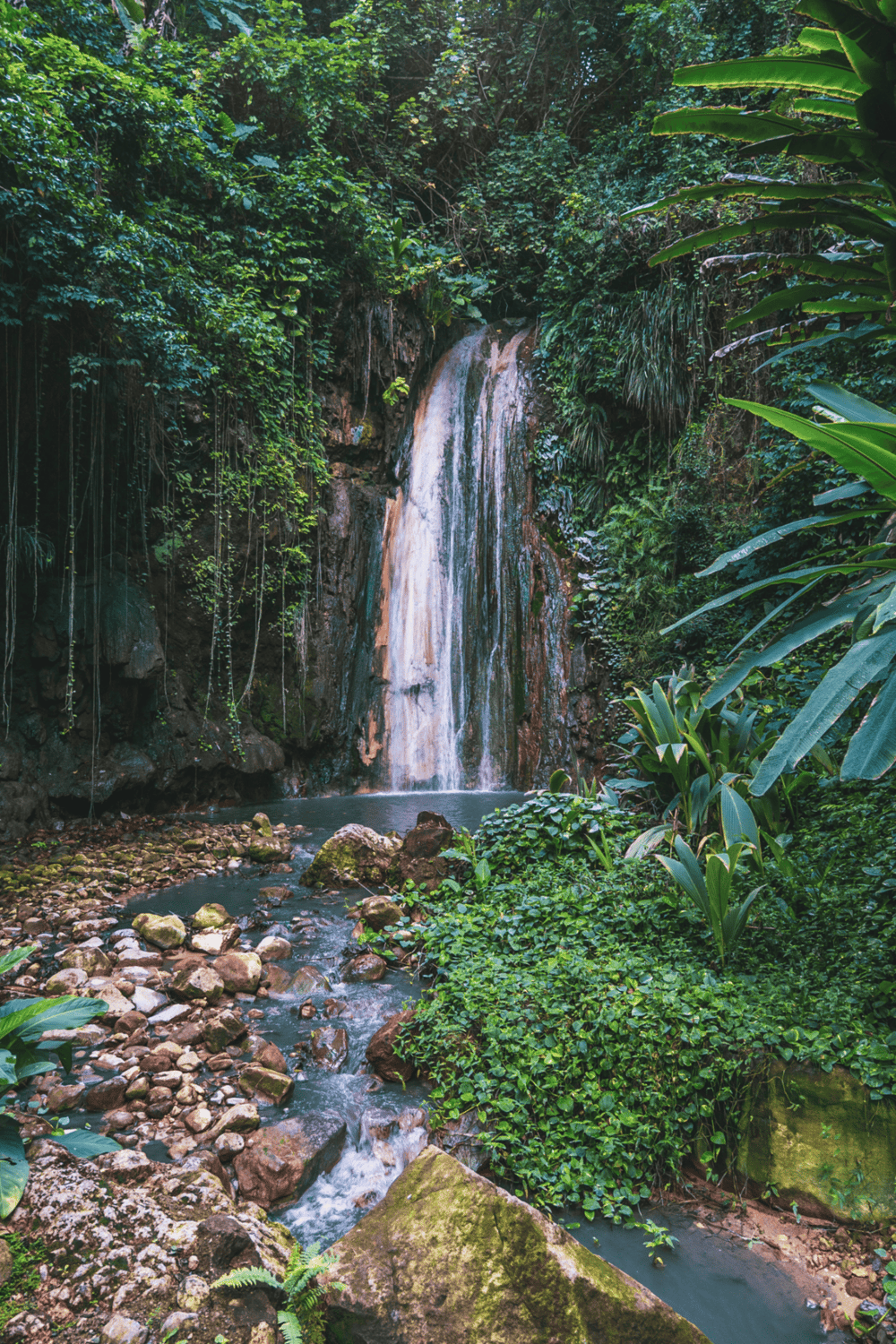 Vibrant jungle waterfall surrounded by lush green foliage and rocks, ideal for adventure travel and nature exploration.