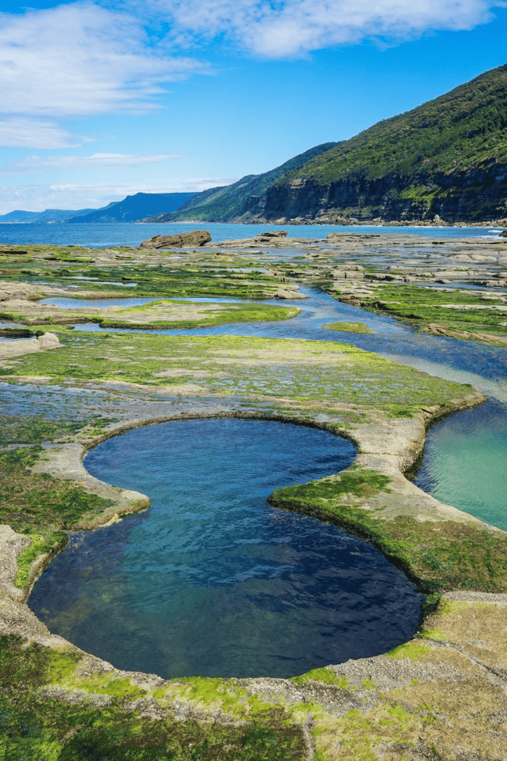 Vibrant coastal landscape with tide pools and scenic mountain views in Oregon.