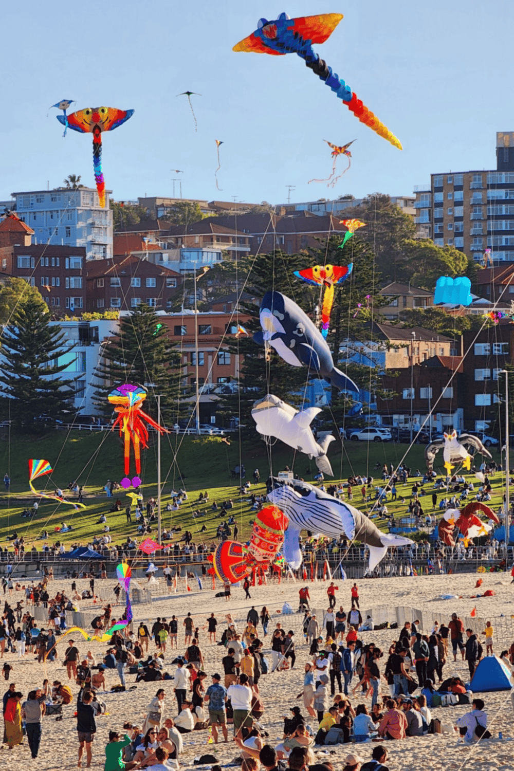 Colorful kites flying over a crowded beach scene during a kite festival, showcasing family fun, outdoor activities, and vibrant seaside entertainment.