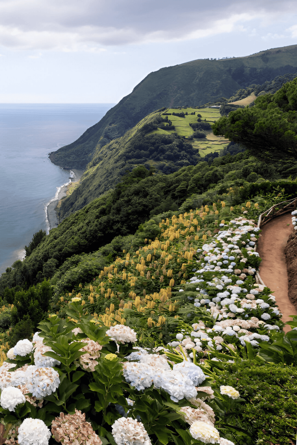 Scenic coastal pathway with lush greenery and colorful flowers overlooking the ocean.
