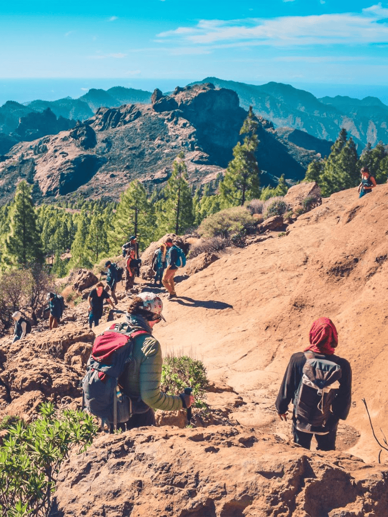 Exploring mountain trails with hikers in scenic rugged terrain and lush green trees.