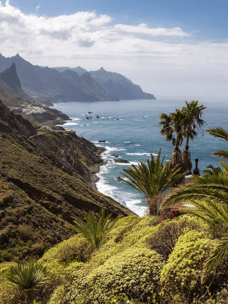 Vibrant coastal landscape with cliffs, ocean, palm trees, and lush greenery on a sunny day.