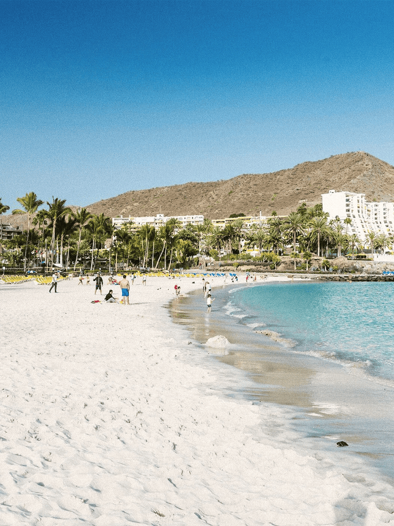 Beach in Cancun with palm trees and hotel buildings in the background, sunny weather and calm waters.