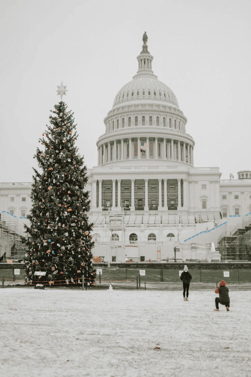 Christmas decorated tree in front of the U.S. Capitol building, Washington D.C.