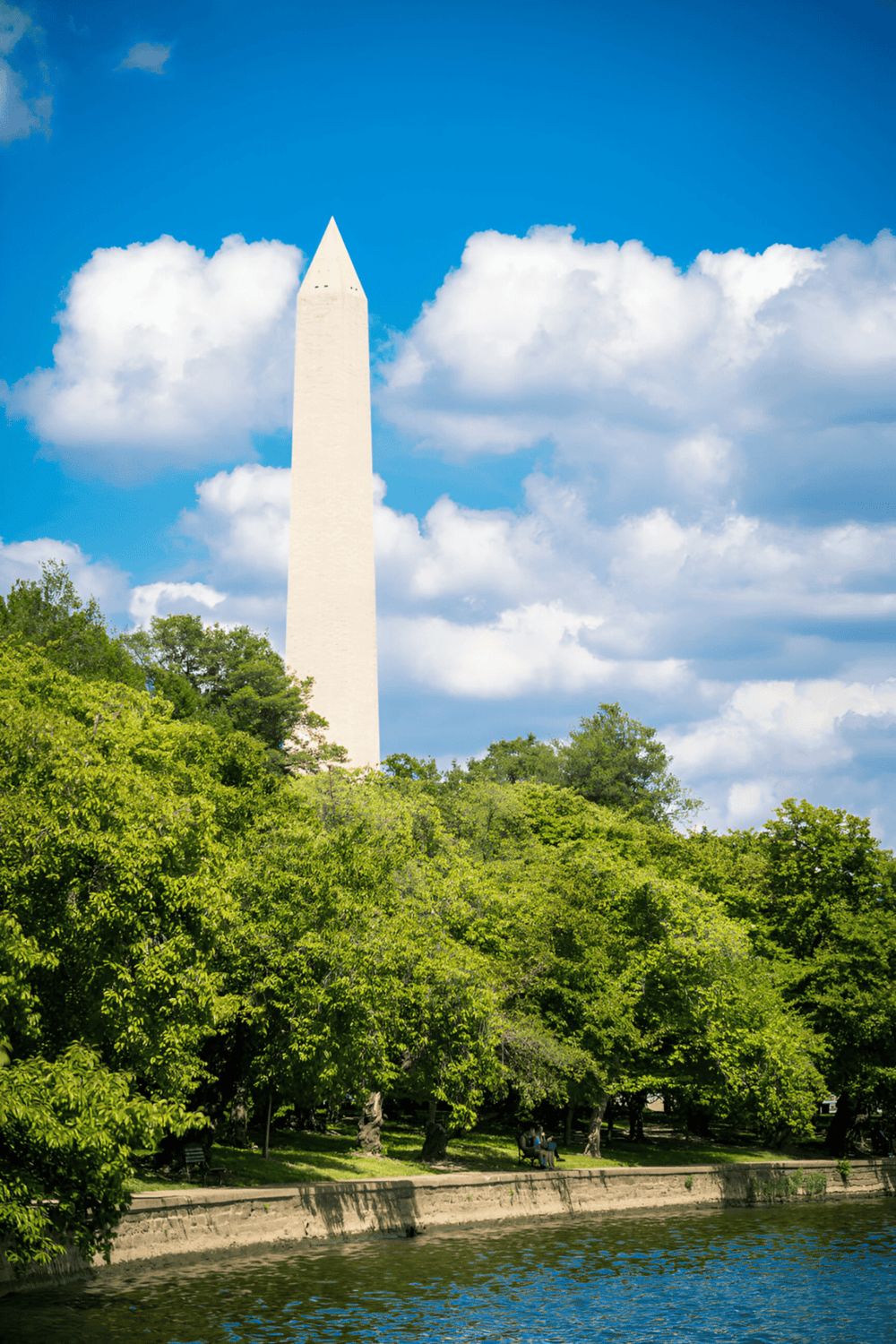 The Washington Monument surrounded by green trees and a river, under a bright blue sky with clouds.