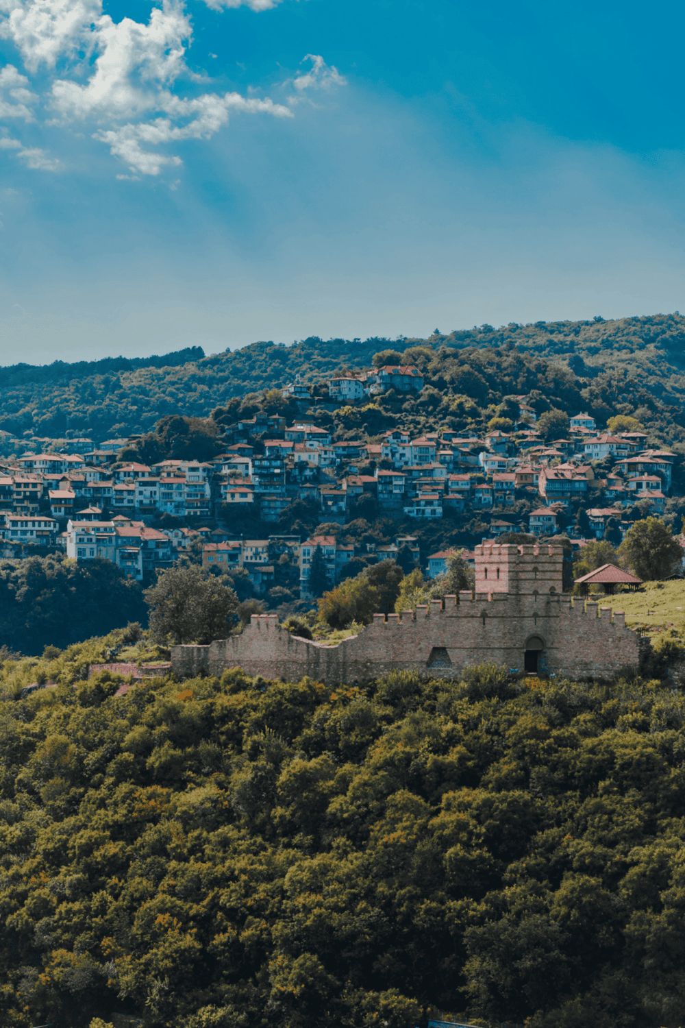 Vibrant hillside neighborhood with colorful homes and historic castle ruins, scenic views, real estate, and property listings.