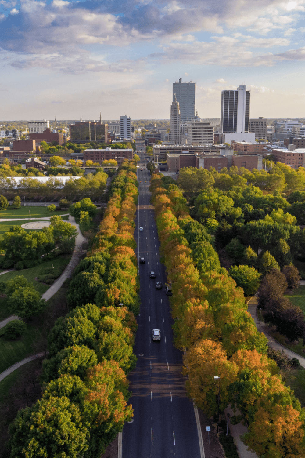 Aerial view of downtown city with green trees lining the streets and tall skyscrapers in the background.
