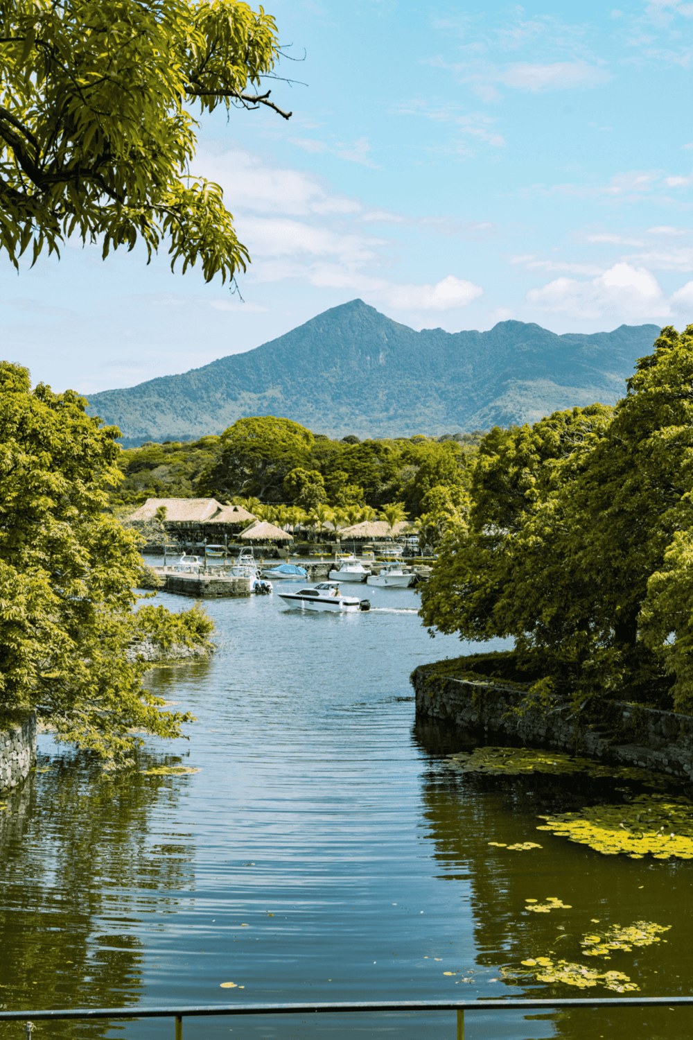 Serene marina with boats, lush trees, and mountain view at QuestForDirections location.