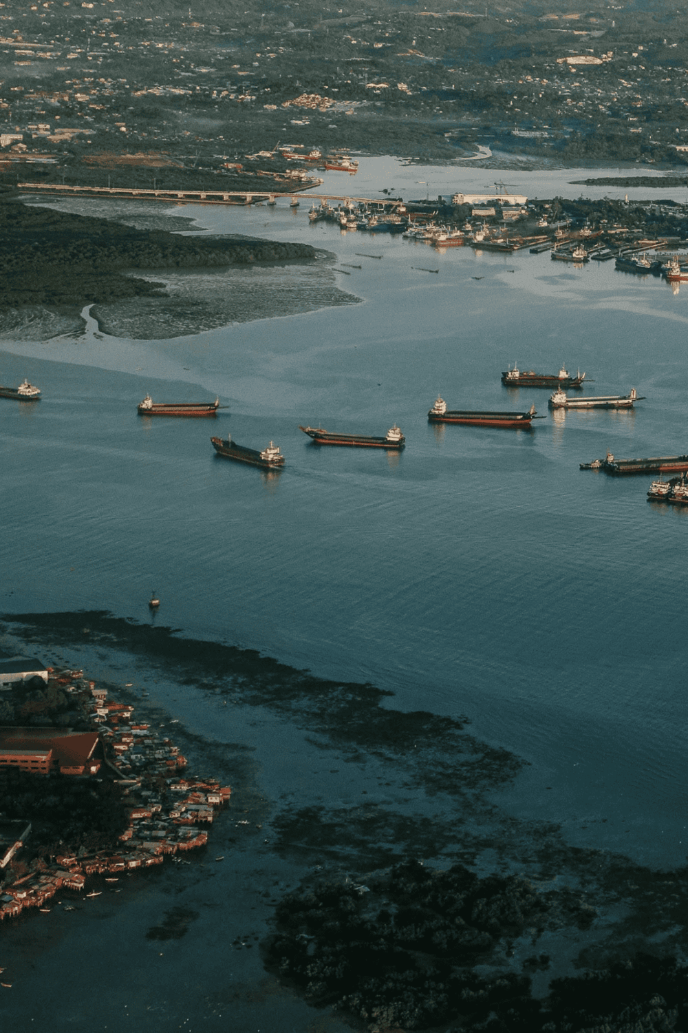Cargo ships in harbor with cityscape, shipping logistics, and transportation services.